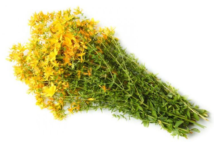 Wort St.John is used in the treatment of arthrosis